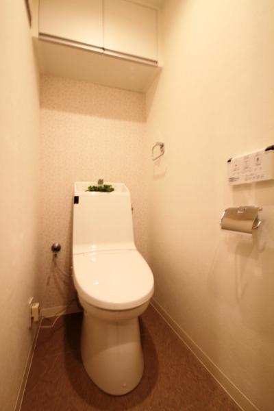 Same specifications photos (Other introspection)