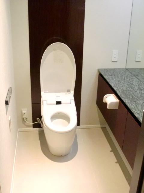 Toilet. Indoor (January 2013) Shooting