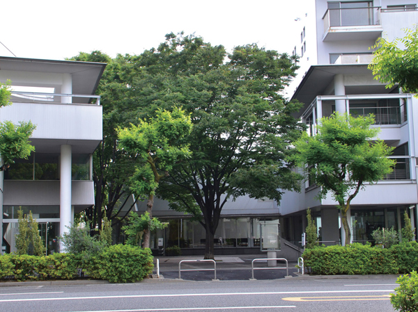 Surrounding environment. Daikanyama Hillside Terrace (about than local 190m)