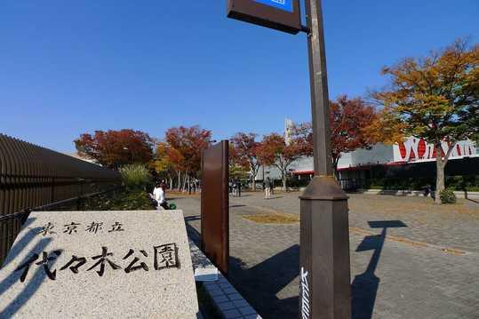 Other. Yoyogi Park entrance (about 240m) (2013 November shooting)