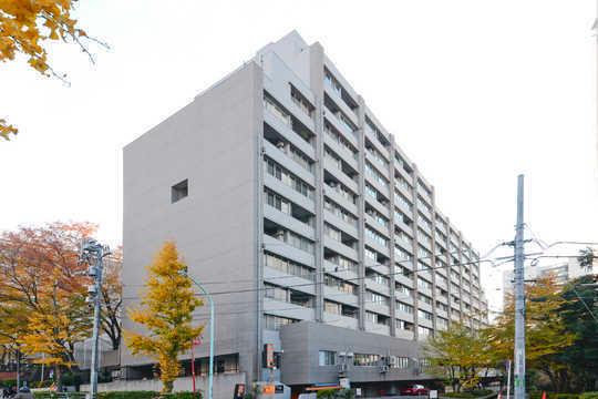 Local appearance photo. Appearance Photo 2 (2013 December shooting)