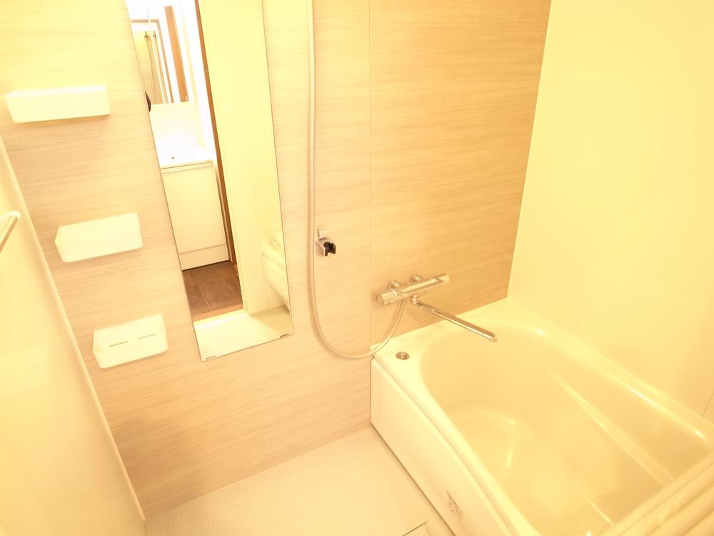 Bathroom. Indoor (11 May 2013) Shooting