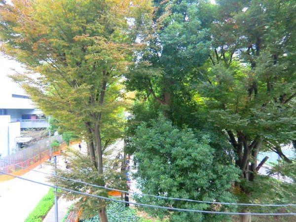 Other. View