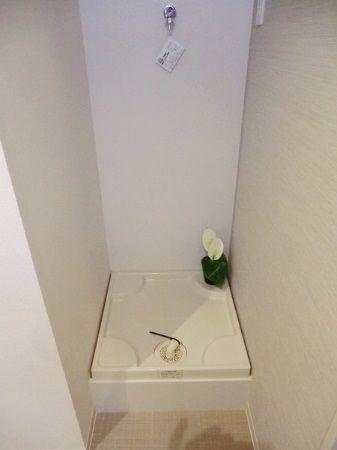 Other introspection. Laundry Area