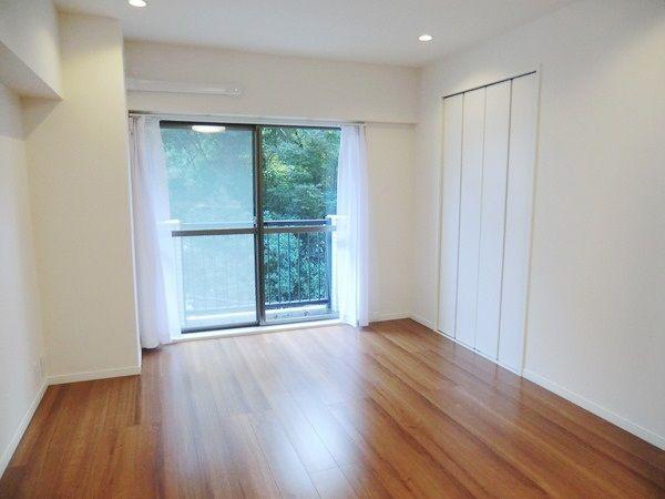 Other introspection. Western style room