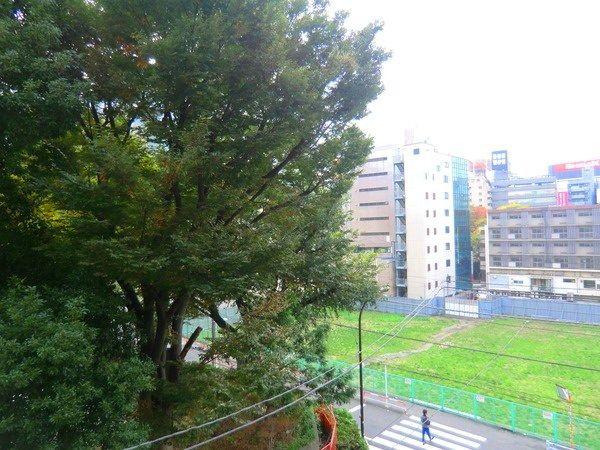 Other. View