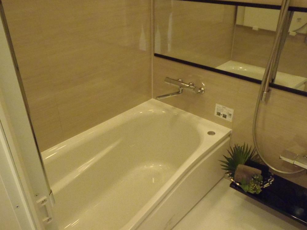 Bathroom. Unit bus with bathroom dryer