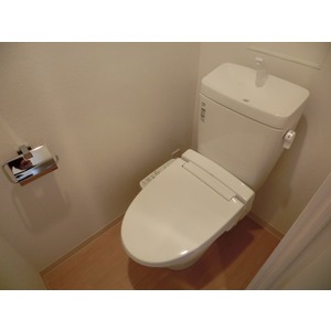 Toilet. The room is a picture of the same type. 