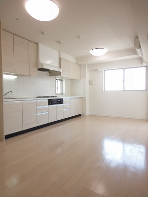 Living and room. Two-sided lighting! 