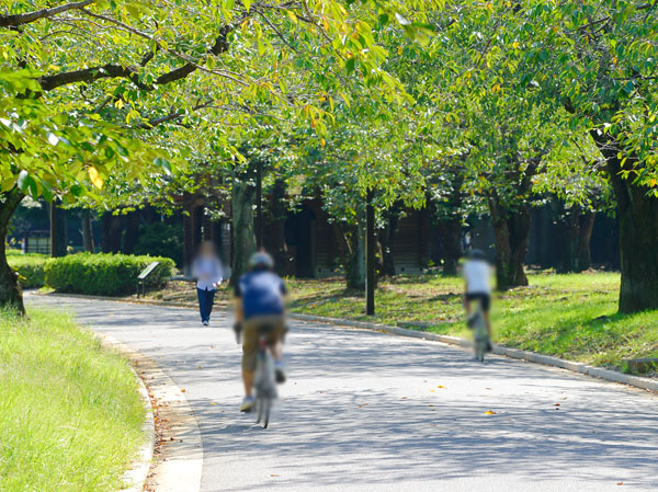 Surrounding environment. Metropolitan Yoyogi Park (about 2010m, 26 minutes walk)