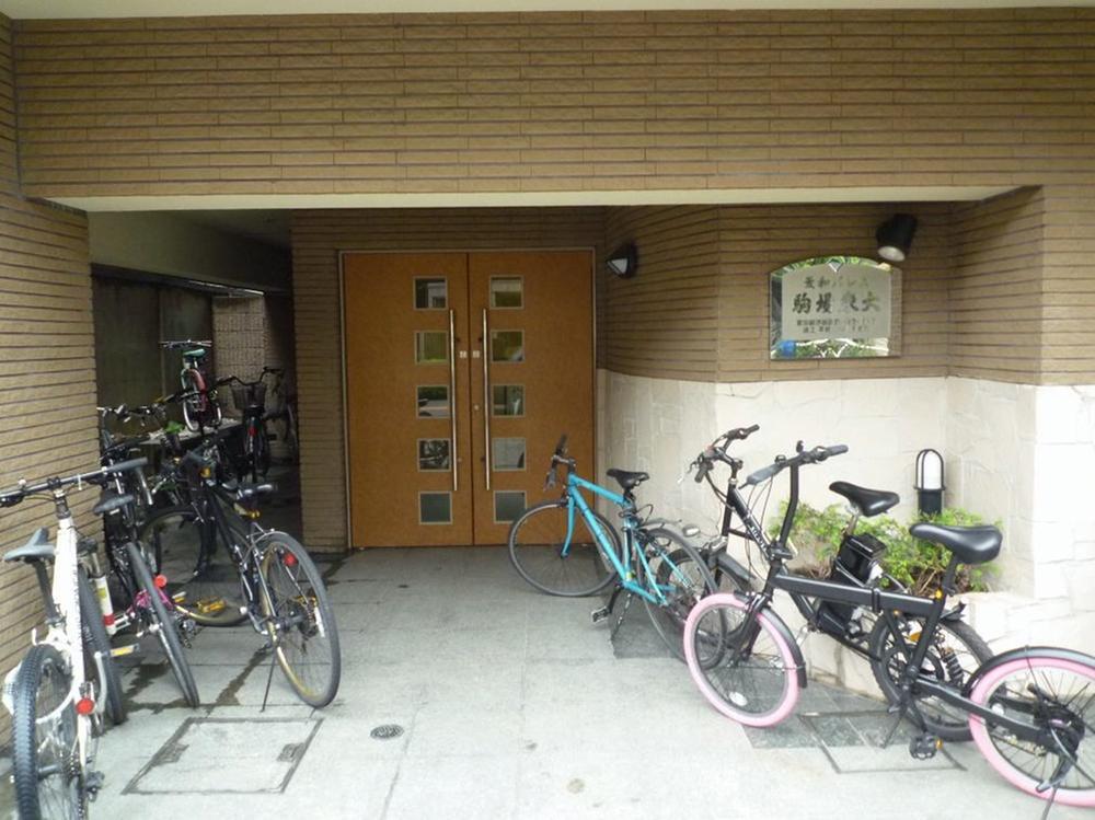 Entrance. Common areas