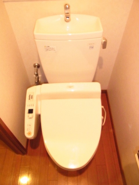 Toilet. Toilet