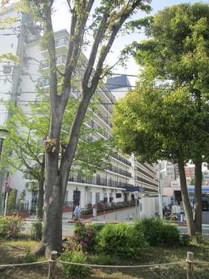 Local appearance photo. appearance