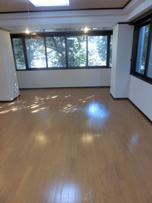 Living and room. One side Greenview