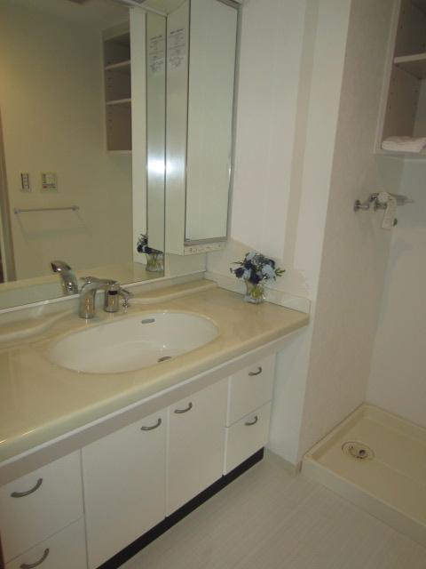 Wash basin, toilet. Washroom with a large working space (October 2013 shooting)