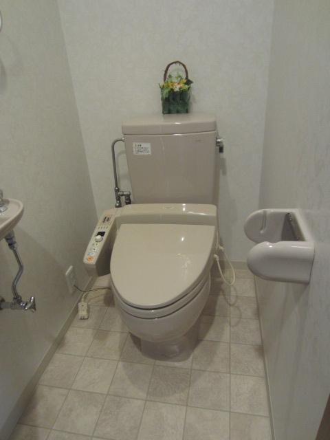 Toilet. Wide and a clean toilet (October 2013 shooting)
