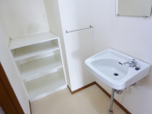 Washroom. Washroom and dressing room