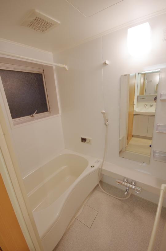 Bathroom. Local (11 May 2013) Shooting