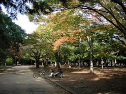 park. 699m to Metropolitan Yoyogi Park West Gate (park)