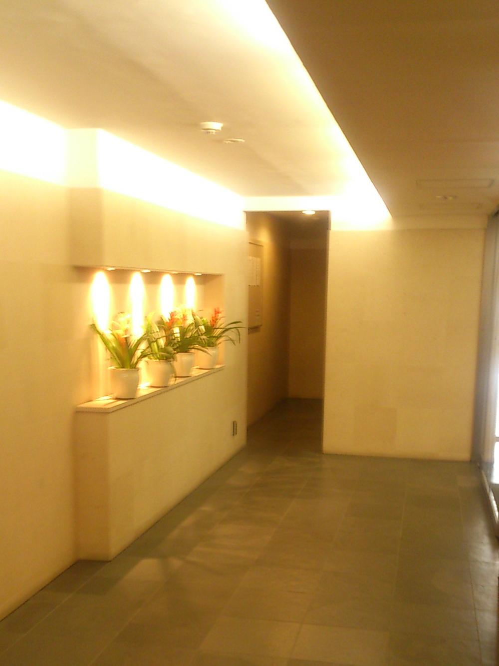 Entrance. Common areas