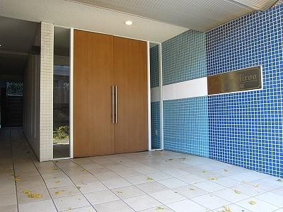 Entrance. Common areas