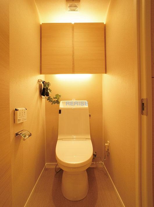 Toilet. Walk-in closet