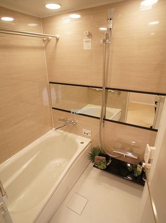 Bathroom. With bathroom dryer