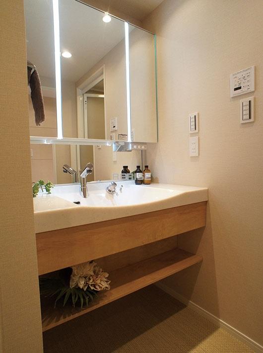 Wash basin, toilet. Vanity feeling of luxury