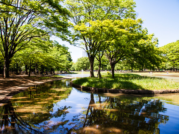 Surrounding environment. Yoyogi Park (about 990m / Walk 13 minutes)