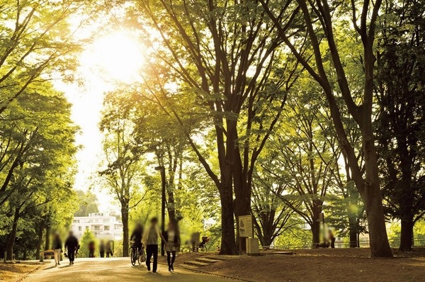"Yoyogi Park" (about than local 990m / Walk 13 minutes)