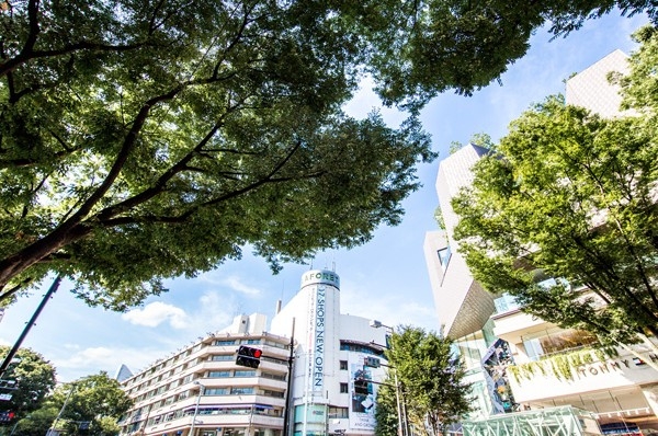 "Meiji Jingumae" around the station (about than local 1020m / Walk 13 minutes)