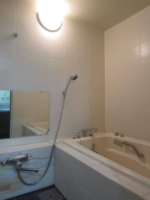 Bathroom. Local (May 2013) Shooting