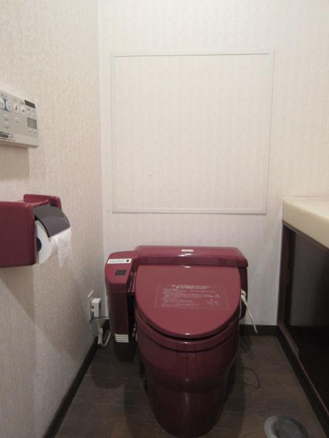 Toilet. Local (May 2013) Shooting
