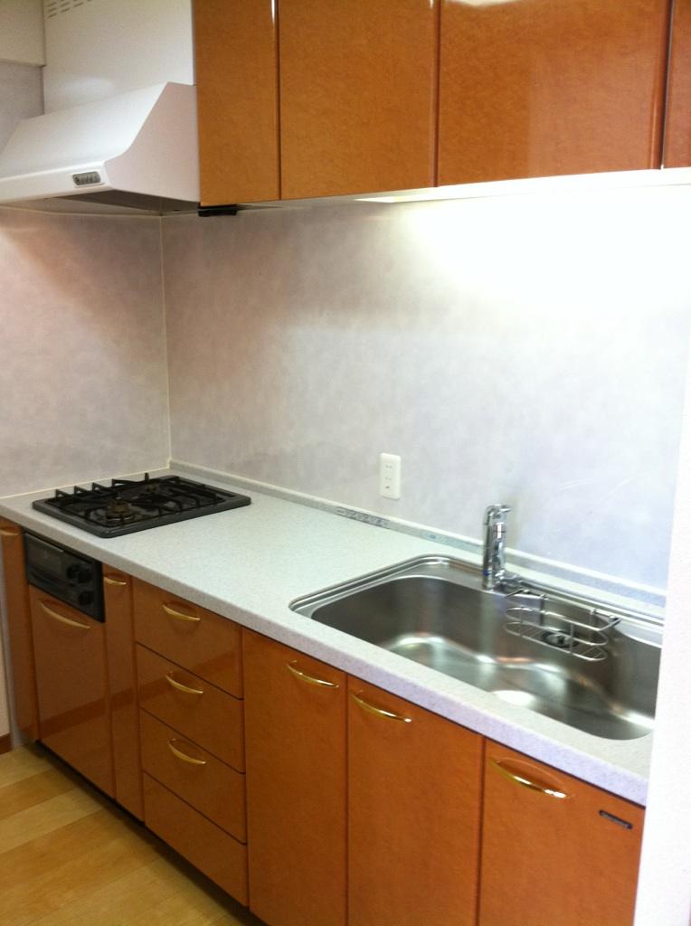 Kitchen. Indoor (10 May 2013) Shooting