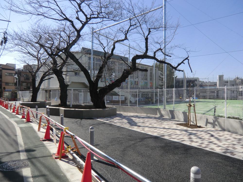 Other. Peripheral photo