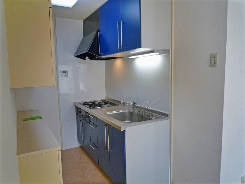 Kitchen. System three-necked Gasukitchin