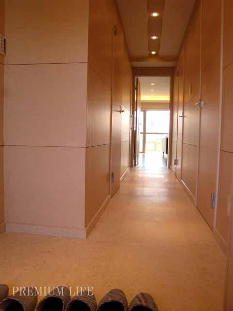 Entrance.  [Entrance] Corridor leading to the living room.