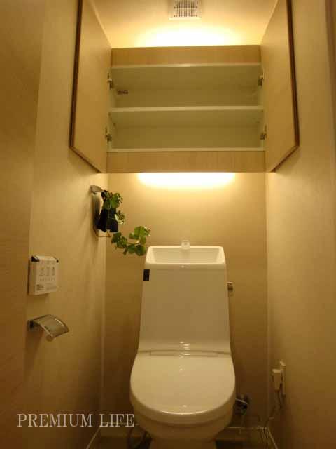 Receipt. Indirect lighting + shelf Yes