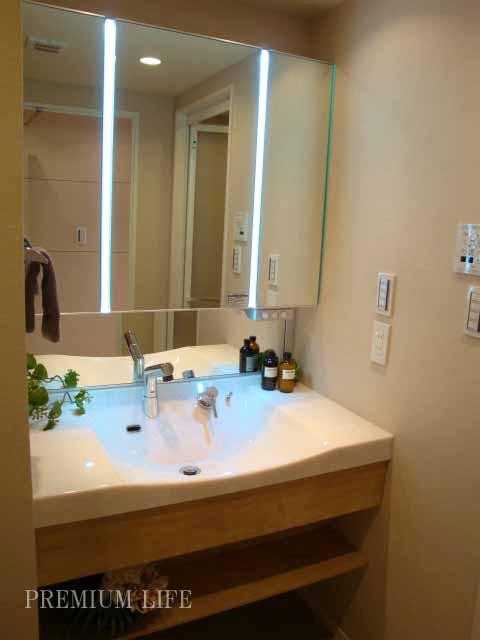 Wash basin, toilet. Independent wash basin