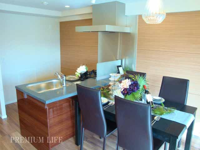 Living.  [Enjoy a conversation while cooking] Open dining.