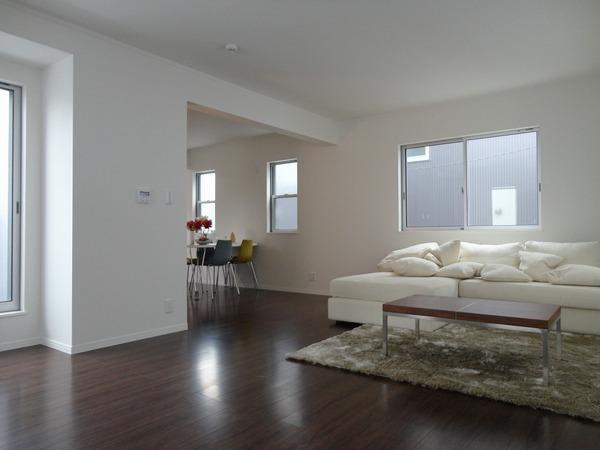 Same specifications photos (living). Building construction cases