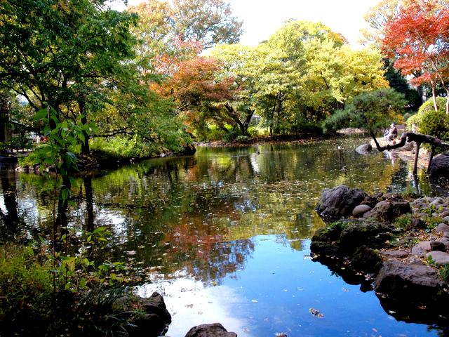 Other Environmental Photo. 10 minutes a little walk to the 843m Palace Arisugawa park to Palace Arisugawa Memorial Park!