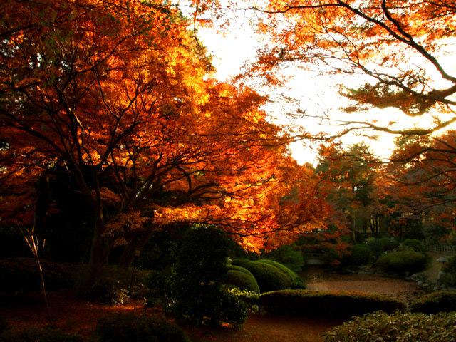 Other Environmental Photo. About 8 minutes walk to the 660m Japan Garden Museum until Japan Garden Museum