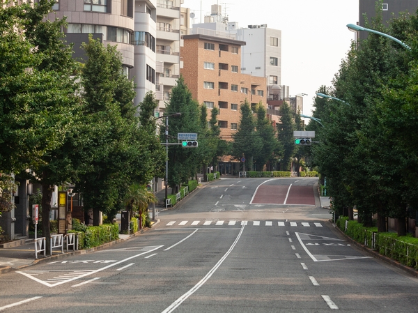 Approach to local from Harajuku Station (about 400m / A 5-minute walk)