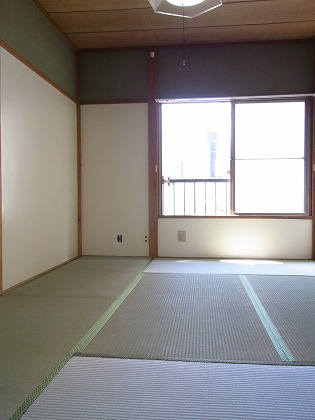 Living and room. Interior