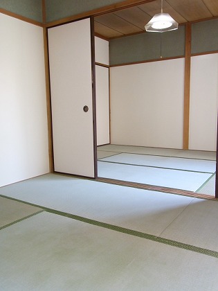 Living and room. Interior