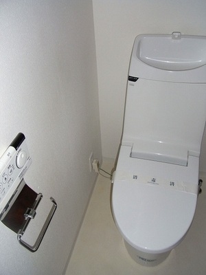 Toilet. Toilet