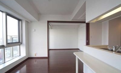 Living and room. Living