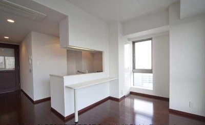 Living and room. Living