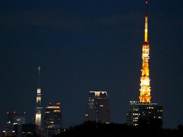 View photos from the dwelling unit. Please do not hesitate to contact us